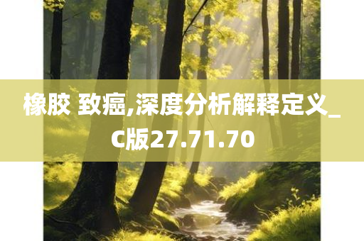 橡胶 致癌,深度分析解释定义_C版27.71.70