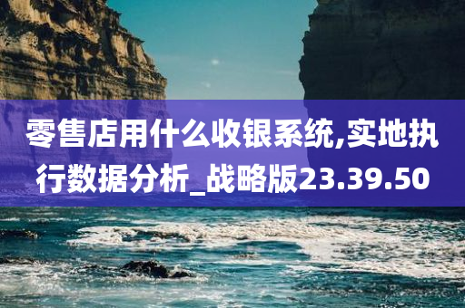 零售店用什么收银系统,实地执行数据分析_战略版23.39.50