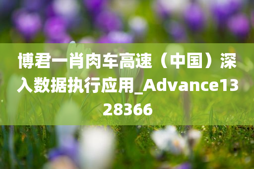 博君一肖肉车高速（中国）深入数据执行应用_Advance1328366