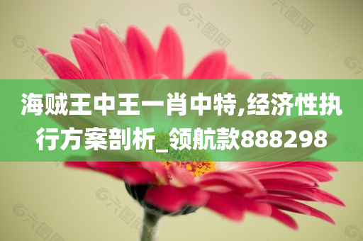 海贼王中王一肖中特,经济性执行方案剖析_领航款888298