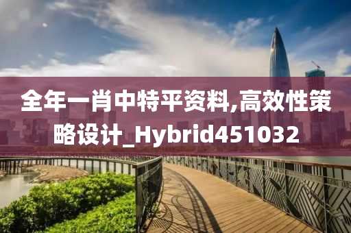 全年一肖中特平资料,高效性策略设计_Hybrid451032