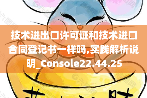 技术进出口许可证和技术进口合同登记书一样吗,实践解析说明_Console22.44.25