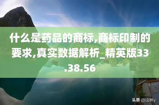 什么是药品的商标,商标印制的要求,真实数据解析_精英版33.38.56