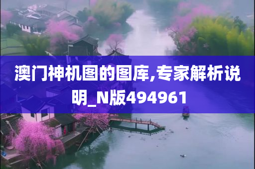 澳门神机图的图库,专家解析说明_N版494961