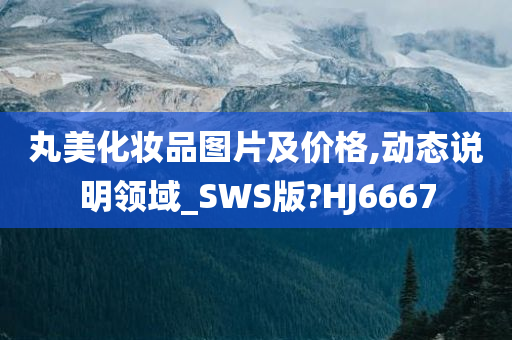 丸美化妆品图片及价格,动态说明领域_SWS版?HJ6667