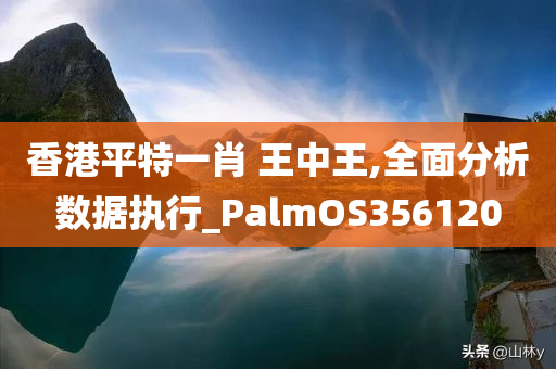 香港平特一肖 王中王,全面分析数据执行_PalmOS356120