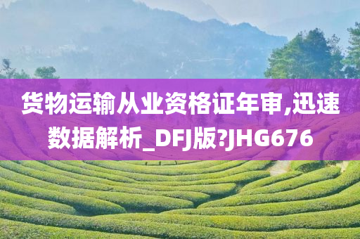 货物运输从业资格证年审,迅速数据解析_DFJ版?JHG676