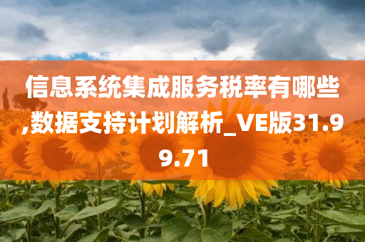 信息系统集成服务税率有哪些,数据支持计划解析_VE版31.99.71