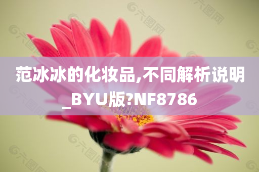 范冰冰的化妆品,不同解析说明_BYU版?NF8786