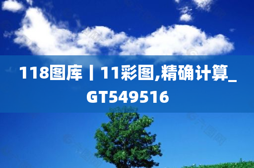 118图库丨11彩图,精确计算_GT549516