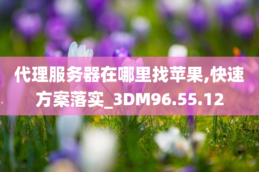 代理服务器在哪里找苹果,快速方案落实_3DM96.55.12