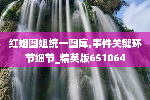 红姐图姐统一图库,事件关键环节细节_精英版651064