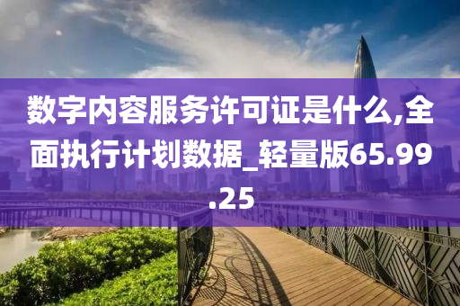 数字内容服务许可证是什么,全面执行计划数据_轻量版65.99.25