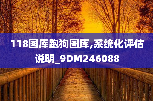 118图库跑狗图库,系统化评估说明_9DM246088