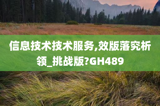 信息技术技术服务,效版落究析领_挑战版?GH489