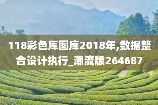 118彩色厍图库2018年,数据整合设计执行_潮流版264687