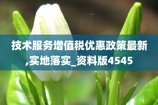 技术服务增值税优惠政策最新,实地落实_资料版4545