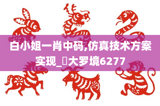 白小姐一肖中码,仿真技术方案实现_‌大罗境6277