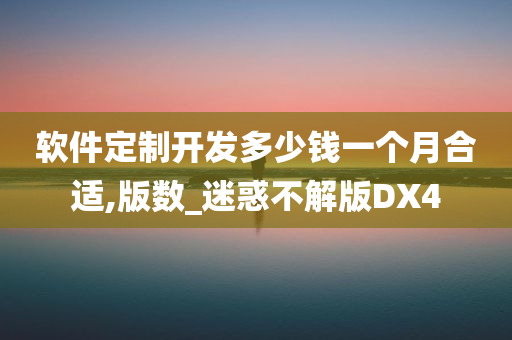 软件定制开发多少钱一个月合适,版数_迷惑不解版DX4