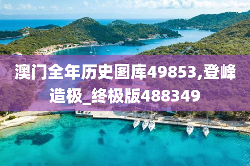 澳门全年历史图库49853,登峰造极_终极版488349