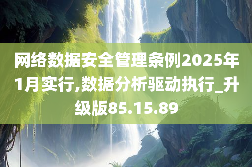 网络数据安全管理条例2025年1月实行,数据分析驱动执行_升级版85.15.89