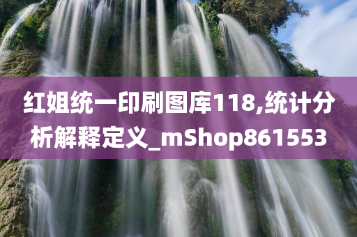 红姐统一印刷图库118,统计分析解释定义_mShop861553