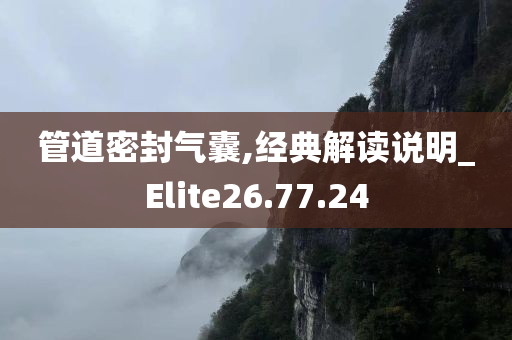 管道密封气囊,经典解读说明_Elite26.77.24