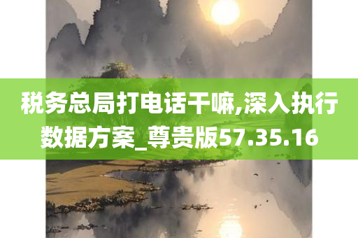 税务总局打电话干嘛,深入执行数据方案_尊贵版57.35.16