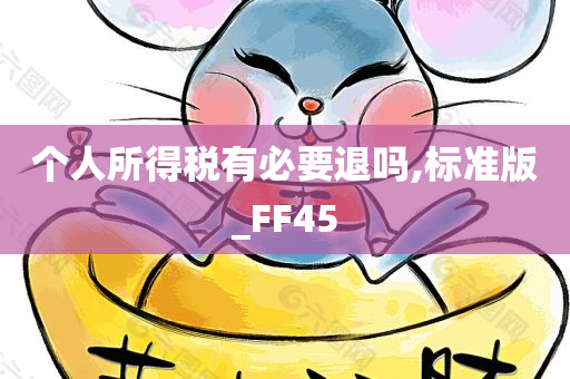 个人所得税有必要退吗,标准版_FF45