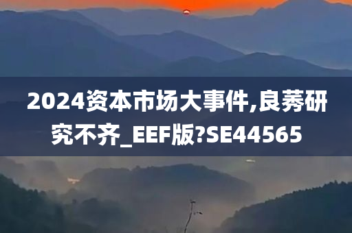 2024资本市场大事件,良莠研究不齐_EEF版?SE44565