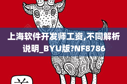 上海软件开发师工资,不同解析说明_BYU版?NF8786