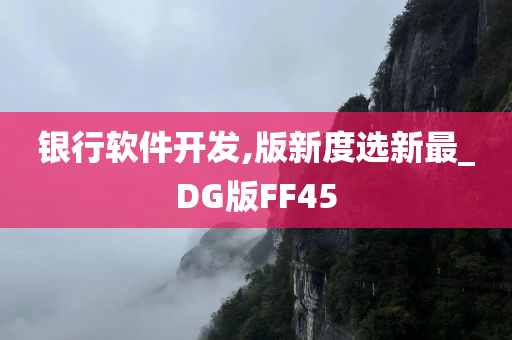 银行软件开发,版新度选新最_DG版FF45