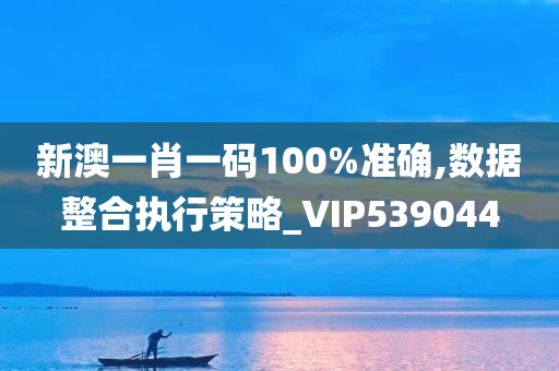 新澳一肖一码100%准确,数据整合执行策略_VIP539044