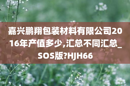 嘉兴鹏翔包装材料有限公司2016年产值多少,汇总不同汇总_SOS版?HJH66