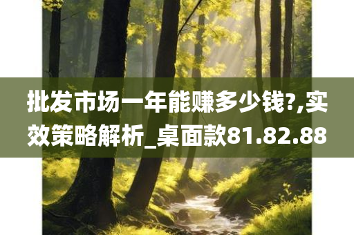 批发市场一年能赚多少钱?,实效策略解析_桌面款81.82.88