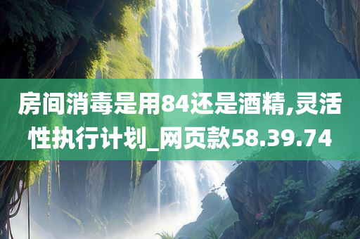 房间消毒是用84还是酒精,灵活性执行计划_网页款58.39.74