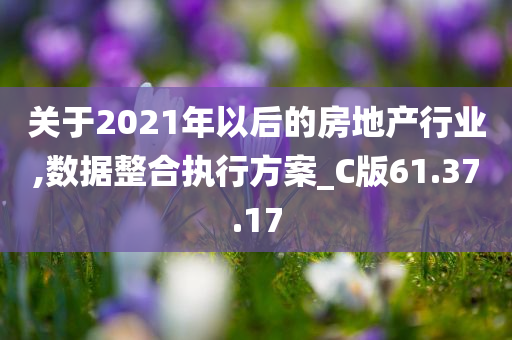 关于2021年以后的房地产行业,数据整合执行方案_C版61.37.17