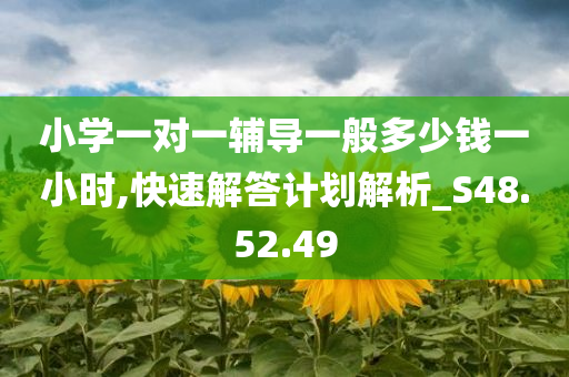 小学一对一辅导一般多少钱一小时,快速解答计划解析_S48.52.49