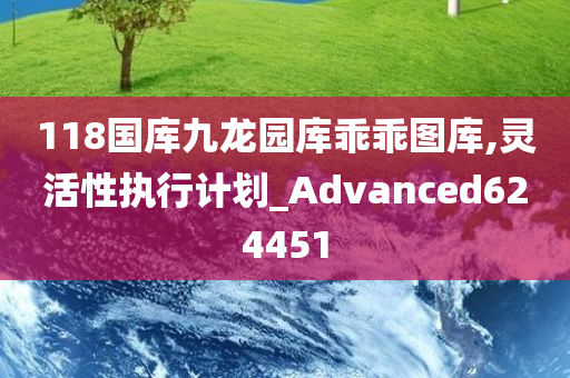 118国库九龙园库乖乖图库,灵活性执行计划_Advanced624451