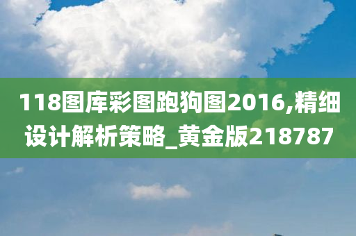 118图库彩图跑狗图2016,精细设计解析策略_黄金版218787