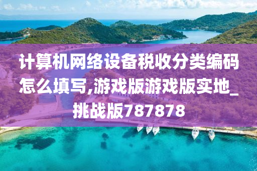 计算机网络设备税收分类编码怎么填写,游戏版游戏版实地_挑战版787878