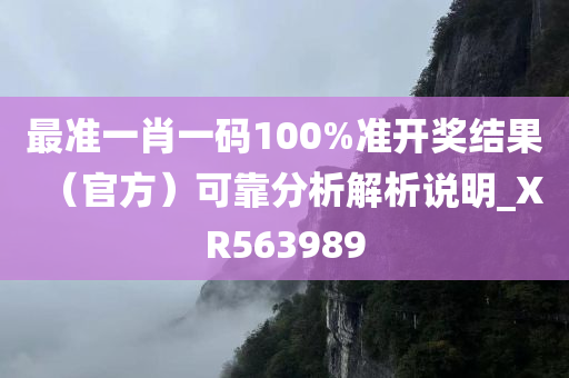 最准一肖一码100%准开奖结果（官方）可靠分析解析说明_XR563989