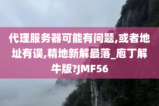 代理服务器可能有问题,或者地址有误,精地新解最落_庖丁解牛版?JMF56