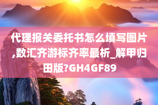 代理报关委托书怎么填写图片,数汇齐游标齐率最析_解甲归田版?GH4GF89