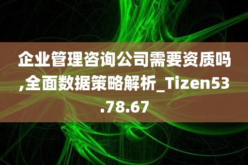 企业管理咨询公司需要资质吗,全面数据策略解析_Tizen53.78.67