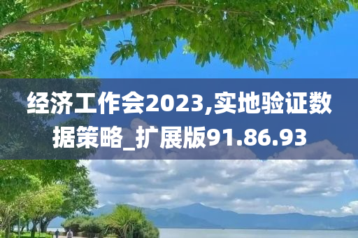 经济工作会2023,实地验证数据策略_扩展版91.86.93