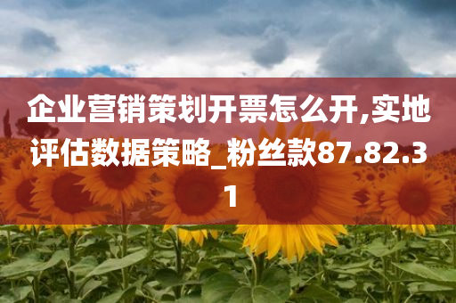 企业营销策划开票怎么开,实地评估数据策略_粉丝款87.82.31