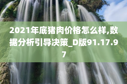 2021年底猪肉价格怎么样,数据分析引导决策_D版91.17.97