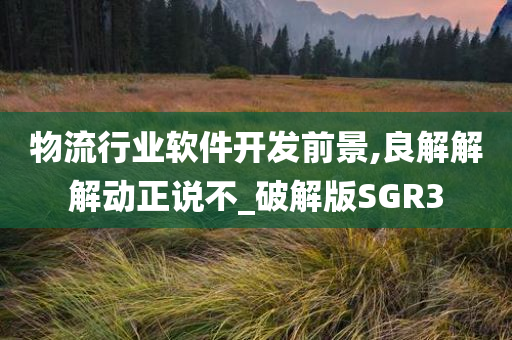 物流行业软件开发前景,良解解解动正说不_破解版SGR3