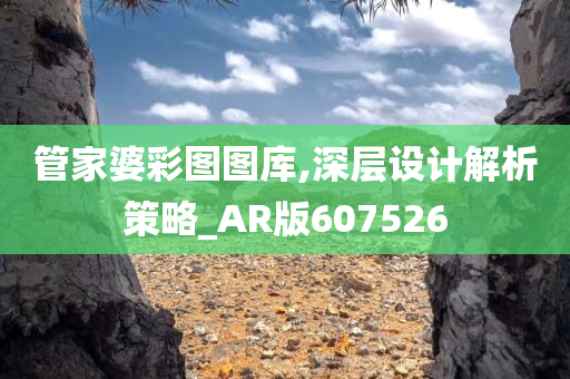 管家婆彩图图库,深层设计解析策略_AR版607526